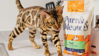 Purr & Meow brings major rebrand