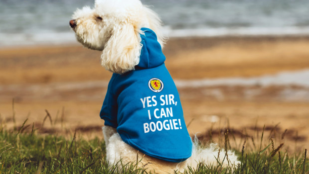 The patriotic range from Urban Pup.com includes T-shirts and hoodies for dogs. 