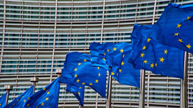 The EU Platform on Animal Welfare was established by the European Commission.