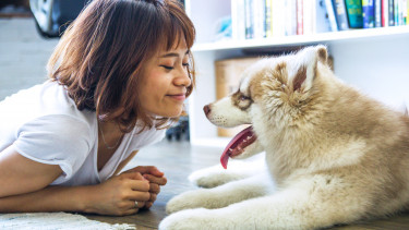 Market growth based on trends