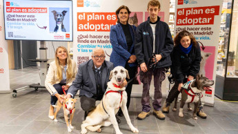 Community of Madrid launches pet adoption campaign