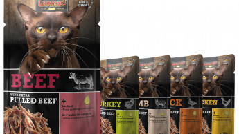 New chewing experiencefor cats