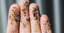 Study: Microplastics detected in commercial pet food