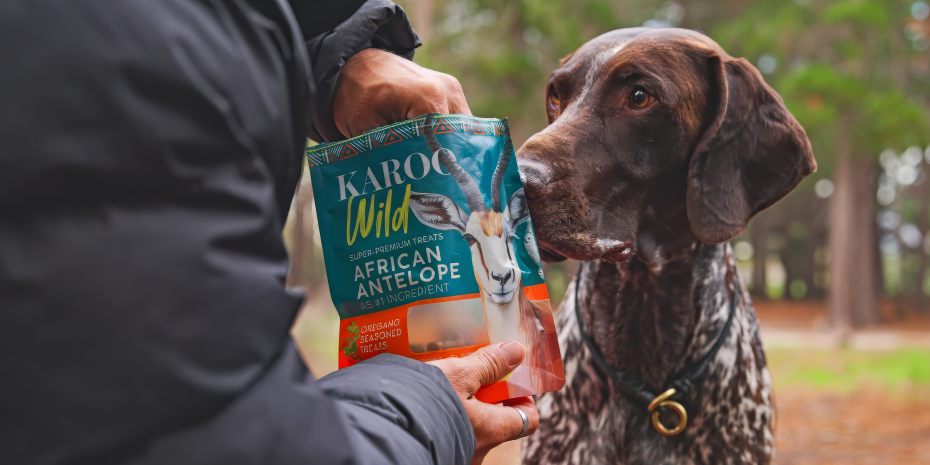 The treat shelf is considered a place where wellness, emotions and innovation come together. Retailers who take a ‘something for everyone’ approach can gain sales in this segment.