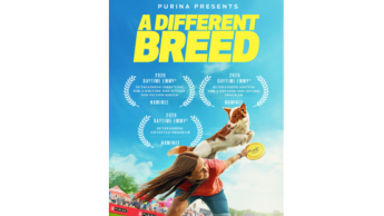 ʻA Different Breedʻ nominated for three Daytime Emmys ʻA Different Breedʻ nominated for three Daytime Emmys