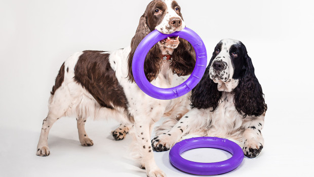 Pet Age Vanguard Awards: These awards recognise products and technologies that take an innovative approach, set new market standards and contribute to the development of responsible pet ownership. Among this year’s winners is Puller by Collar. Pet Age Vanguard Awards: These awards recognise products and technologies that take an innovative approach, set new market standards and contribute to the development of responsible pet ownership. Among this year’s winners is Puller by Collar.