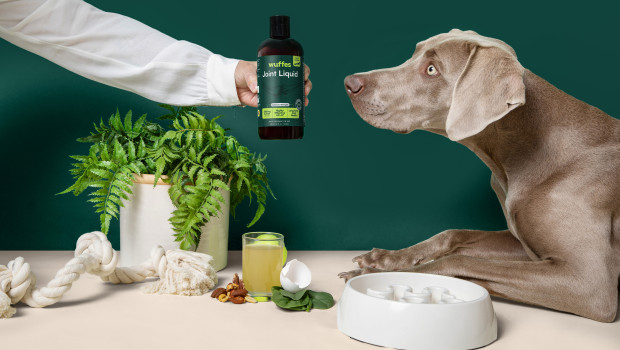 Wuffes has been named Dog Hip & Joint Product of the Year at the 2026 Pet Innovation Awards. Wuffes has been named Dog Hip & Joint Product of the Year at the 2026 Pet Innovation Awards.