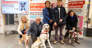 Community of Madrid launches pet adoption campaign