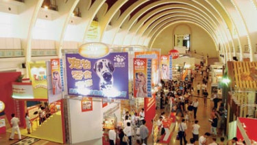 High expectations of Shanghai