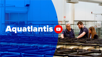 Aquatlantis in moving pictures