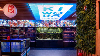 Kiwoko celebrates its 18th anniversary