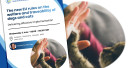 EU event on the implementation of new regulations for dogs and cats