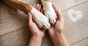Kiwoko and Royal Canin launch joint charity campaign