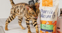Purr & Meow brings major rebrand