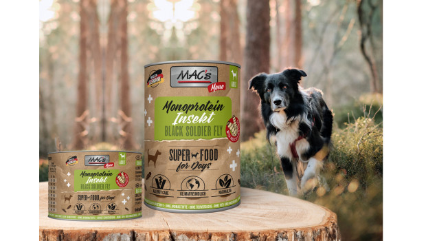 MAC's, Black soldier fly larvae, Insect line