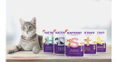 KATTOVIT: special food for cats