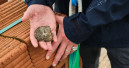 Purina supports the largest restoration project in UK