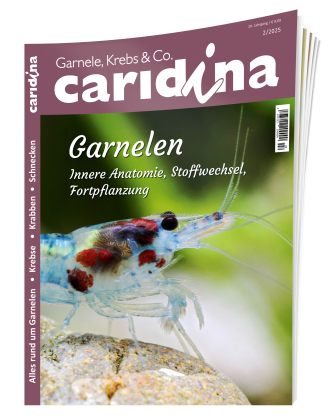 Ergänzendes Bildmaterial