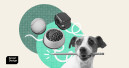 Panel discussion in Brooklyn on pet parent-driven innovation