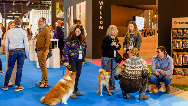 Pets are always welcome at Anido. Pets are always welcome at Anido.