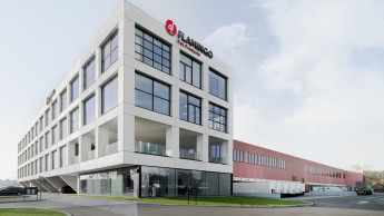 Flamingo makes progress in sustainability