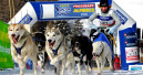 Fressnapf Austria sponsors dog sled race