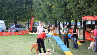 Industry event in ­Poland