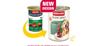 New logo and fresh brand identity