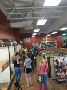 The new store offers upwards of 3 000 pet products.