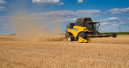 Grain shortage continues to worsen
