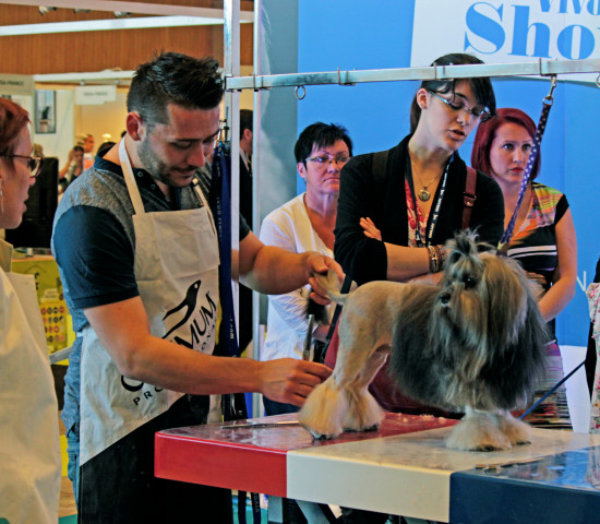 Expozoo, Grooming shows
