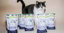 Vegdog launches first vegan cat snack