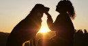 Purina supports scientific research into the human-animal bond