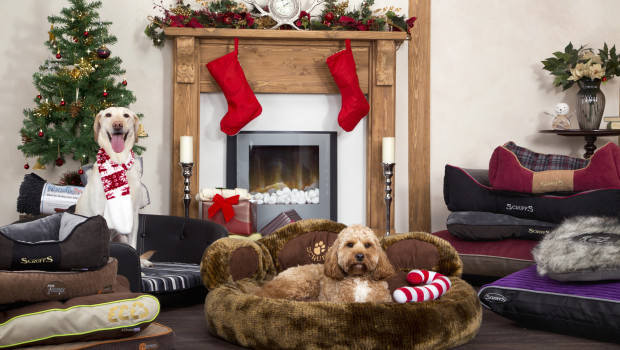 This was the first time Scruffs had held a giveaway on this scale in the company's 10-year history.