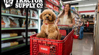 Tractor Supply adds more than 200 dog and cat products Tractor Supply adds more than 200 dog and cat products