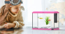 Aquariums for wanderlust people