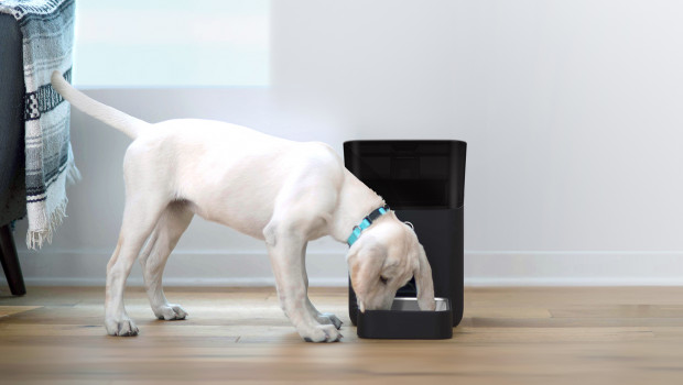 Petnet SmartFeeder is an automatic pet feeder for cats and dogs, compatible with Alexa.