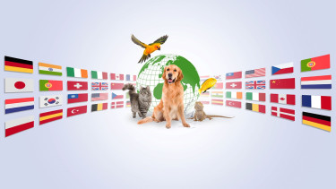 Over 2 000 exhibitors at Interzoo