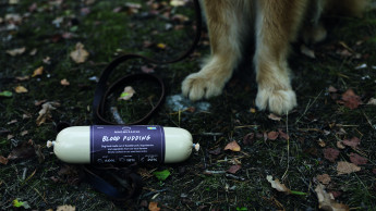 Magnusson launches ‘Blodpudding’ for dogs Magnusson launches ‘Blodpudding’ for dogs
