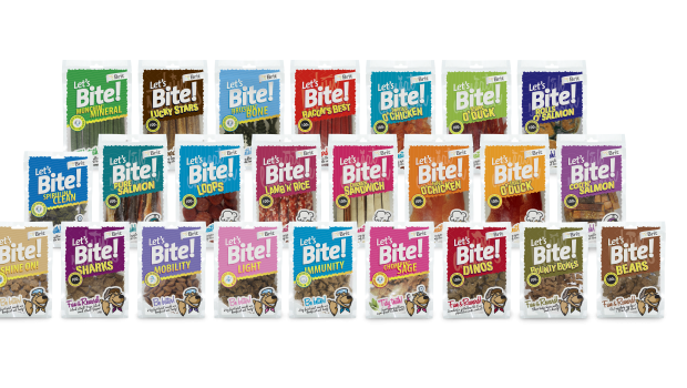 VAFO PRAHA,  BritDecalogue of Training Principles