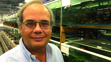 New OFI secretary general