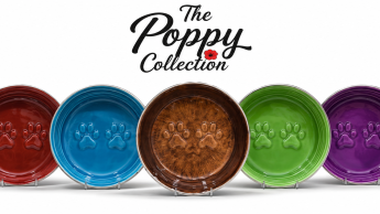 The Buffalo Co. brings the ‘Poppy Collection’ to Jollyes
