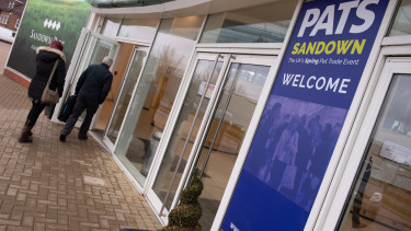 Pats in Sandown suffered from Storm Ciara