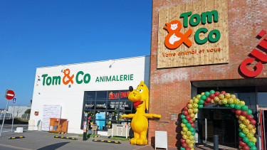 Tom & Co. goes south