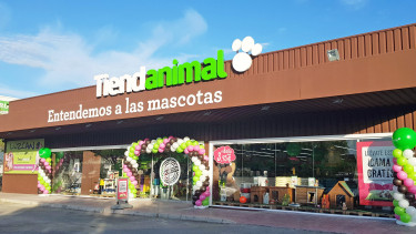 20 new openings in 2020