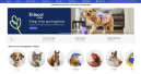 Chewy cuts 670 jobs in Dallas