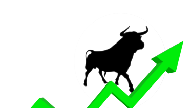 Further interest shown in Zooplus