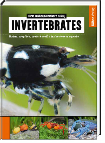 Dähne Verlag, invertebrates in freshwater aquaria
