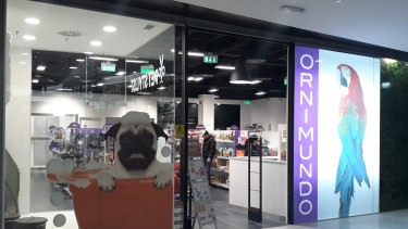 Ornimundo marks anniversary