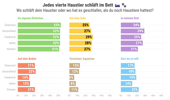 One in four pets sleeps in bed – Where does your pet sleep, or where did it sleep when you still had pets? Green: in its own basket, yellow: on the sofa, purple: in my bed, red: on the floor, brown: terrarium/aquarium, blue: wherever it wants